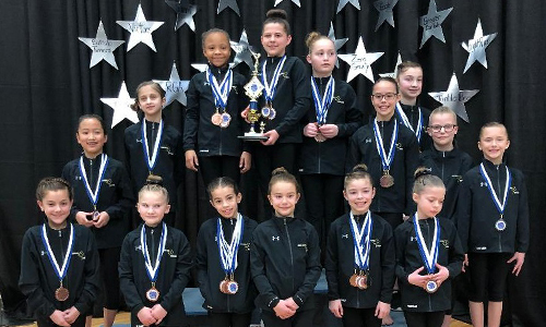 Bright Raven Gymnastics Level 3 Team Wins First at Niagara Cup