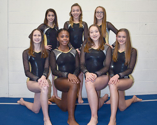 Bright Raven Level 6 Team